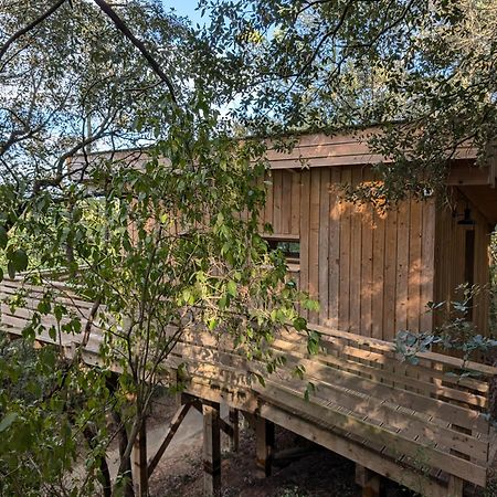 Les Cabanes Dans Les Bois Logis Hotel Villedubert Экстерьер фото