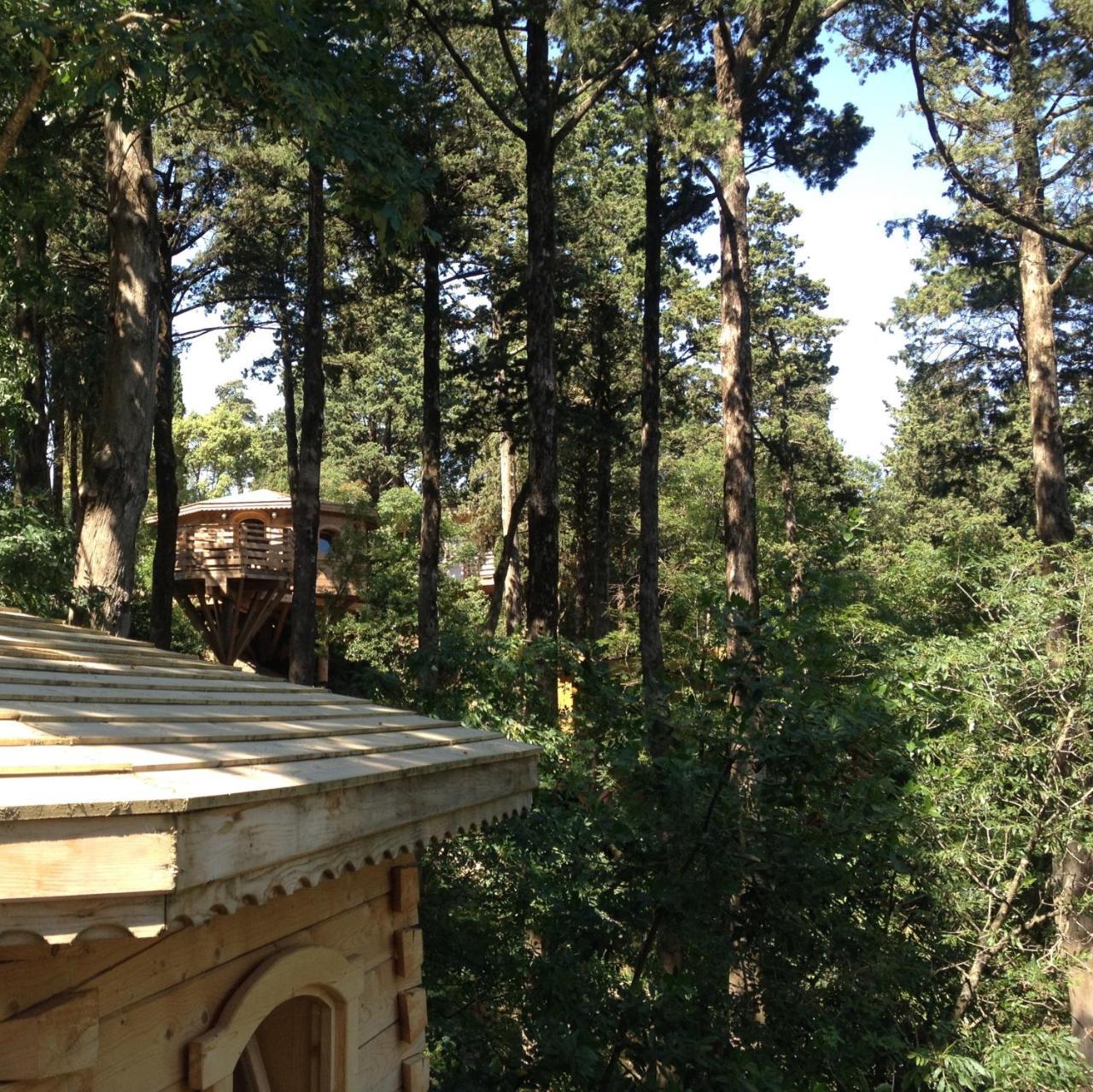 Les Cabanes Dans Les Bois Logis Hotel Villedubert Экстерьер фото